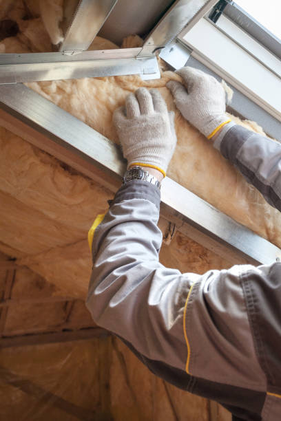 Best Insulation for New Construction  in Nashville, NC